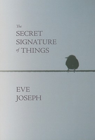 Kniha The Secret Signature of Things Eve Joseph