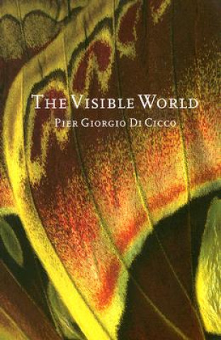 Kniha The Visible World Pier Giorgio Di Cicco