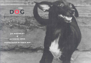 Βιβλίο Dog Catherine Owen