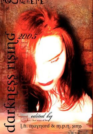 Buch Darkness Rising 2005 L. H. Maynard