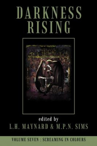 Kniha Darkness Rising 7: Screaming in Colours L. H. Maynard