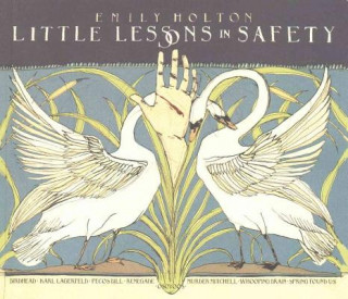 Carte Little Lessons In Safety Emily Holton