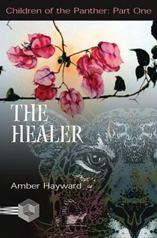 Kniha The Healer Amber Hayward