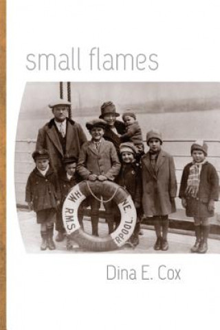 Kniha Small Flames Dina E. Cox