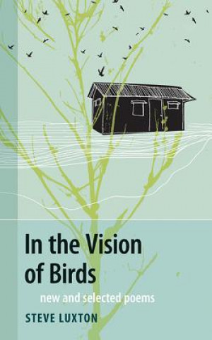 Kniha In the Vision of Birds Steve Luxton