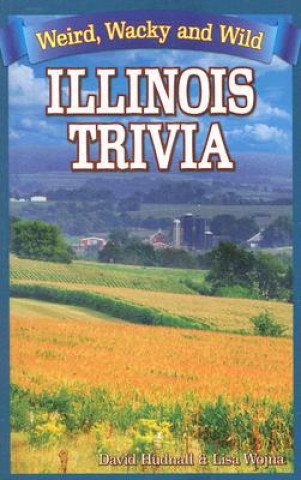 Buch Illinois Trivia David Hudnall