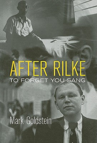 Kniha After Rilke Mark Goldstein