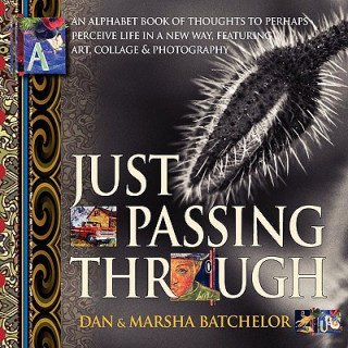 Book Just Passing Through Marsha Batchelor