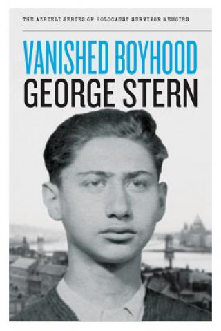 Książka Vanished Boyhood George Stern