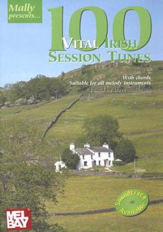 Kniha 100 Vital Irish Session Tunes Dave Mallinson