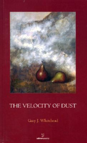 Könyv The Velocity of Dust Gary J. Whitehead