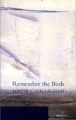 Kniha Remember the Birds Louise Callaghan