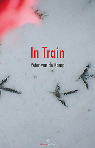 Book In Train Peter Van De Kamp