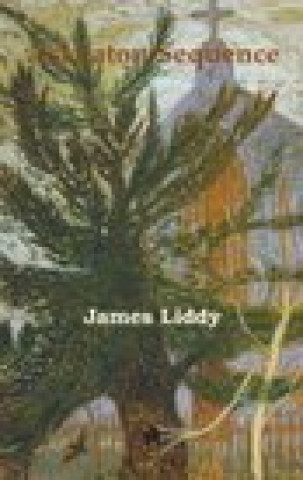 Knjiga Askeaton Sequence James Liddy
