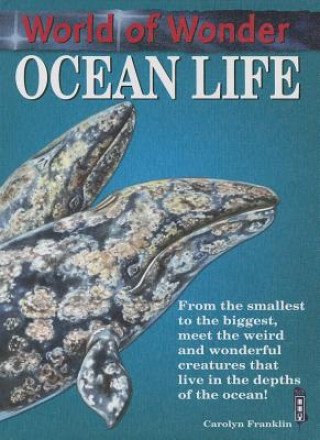 Buch Ocean Life Carolyn Franklin