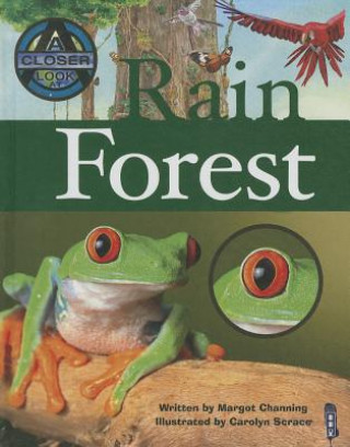 Carte Rain Forest Margot Channing