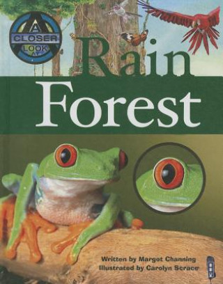 Buch Rain Forest Margot Channing