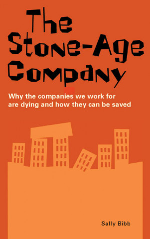 Książka Stone-age Company Sally Bibb