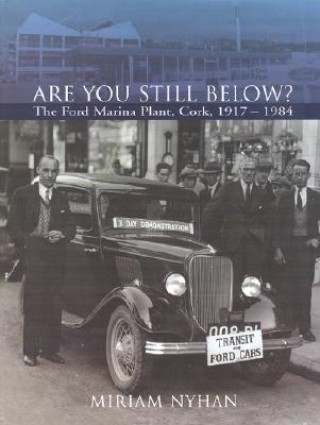 Buch Are You Still Below?: The Ford Marina Plant, Cork 1917-1984 Miriam Nyhan