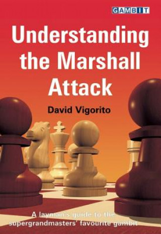 Knjiga Understanding the Marshall Attack David Vigorito