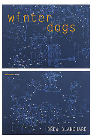 Knjiga Winter Dogs Drew Blanchard