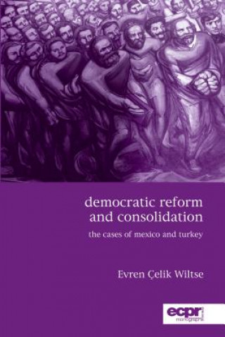 Kniha Democratic Reform and Consolidation Evren Celik Wiltse