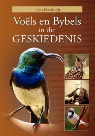 Kniha VOELS EN BYBELS IN DIE GESKIEDENIS (Volkleur Uitgawe) TIAN HATTINGH