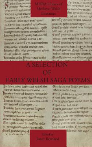 Könyv Selection of Early Welsh Saga Poems Jenny Rowland