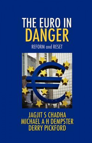 Książka Euro In Danger Jagjit S. Chadha