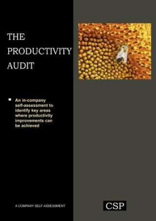 Buch Productivity Audit Mark Spelman