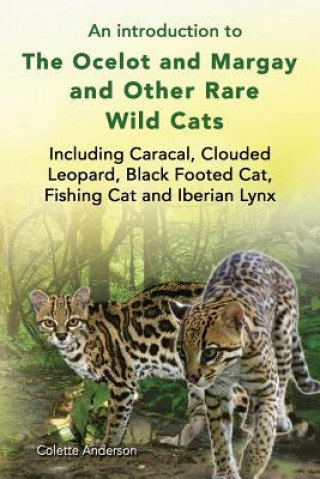 Book introduction to The Ocelot and Margay and Other Rare Wild Cats Including Caracal, Clouded Leopard, Black Footed Cat, Fishing Cat and Iberian Lynx Colette Anderson