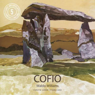 Kniha Poster Poem Cards: Cofio Waldo Williams