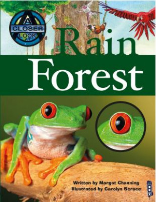 Книга Rain Forest Margot Channing