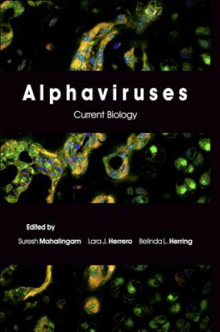 Libro Alphaviruses Lara Herrero