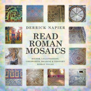 Könyv Read Roman Mosaics Derrick Napier