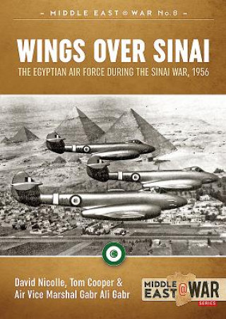 Kniha Wings Over Sinai David Nicolle
