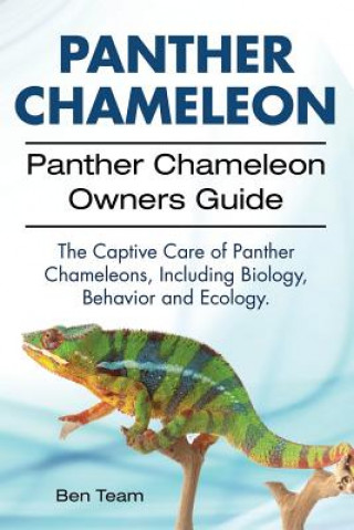 Könyv Panther Chameleon. Panther Chameleon Owners Guide. The Captive Care of Panther Chameleons, Including Biology, Behavior and Ecology. Ben Team
