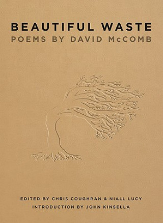 Kniha Beautiful Waste: Poems By David Mccomb David McComb