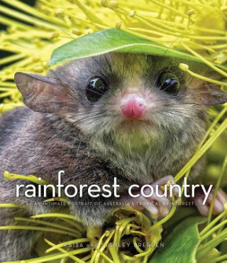 Kniha Rainforest Country Kaisa Breeden