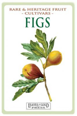 Kniha Figs C Thornton