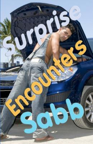 Carte Surprise Encounters: A Gay Erotica Anthology Sabb