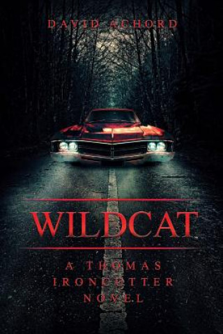 Könyv Wildcat: A Thomas Ironcutter Novel David Achord