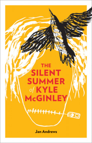 Könyv Silent Summer of Kyle McGinley Jan Andrews
