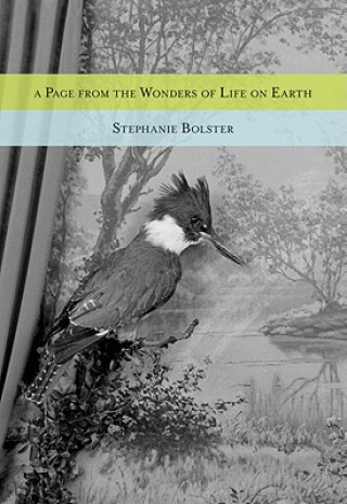 Carte A Page from the Wonders of Life on Earth Stephanie Bolster