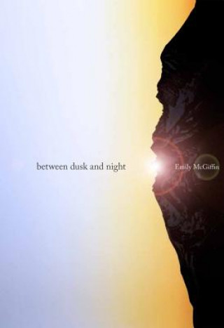 Buch Between Dusk and Night Emily McGiffin
