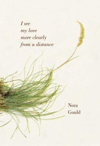 Kniha I See My Love More Clearly from a Distance Nora Gould