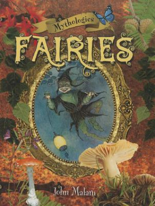 Buch Fairies John Malam