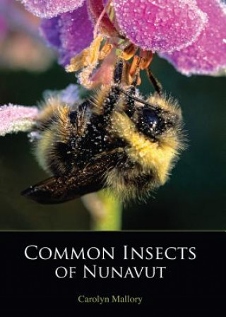 Könyv Common Insects of Nunavut Carolyn Mallory