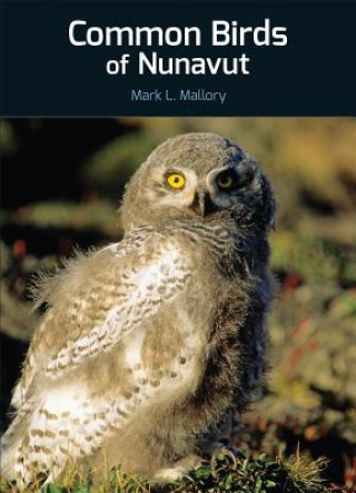 Kniha Common Birds of Nunavut Mark Mallory