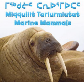 Kniha Marine Mammals Inhabit Media